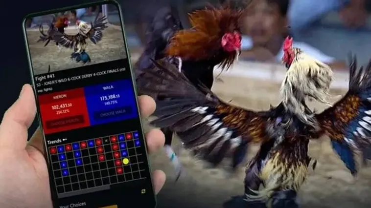 Đá Gà Cado888 Trực Tiếp Đỉnh Cao Săn Thưởng Cực Khủng Ngay