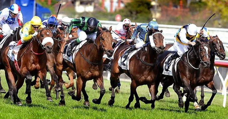 Khám Phá Cá Cược Đua Ngựa Cado888 Chinh Phục Mọi Đường Đua 2 Khám Phá Cá Cược Đua Ngựa Cado888 Chinh Phục Mọi Đường Đua